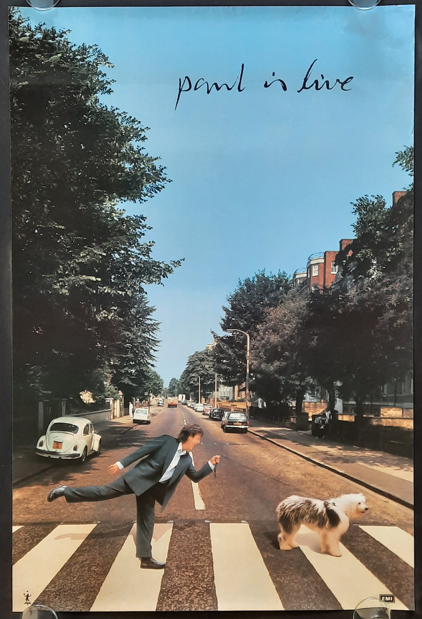 PAUL McCARTNEY 1993 Original Promotion Poster Album "Paul Is Live" 1st print 2