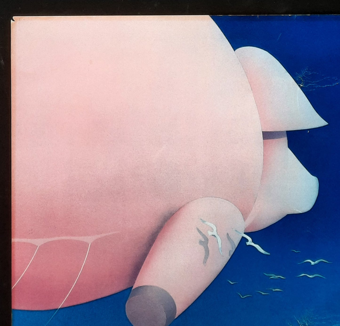 PINK FLOYD Original Concert Poster 1977 Oakland Coliseum by Randy Tuten SIGNED BY ARTIST!