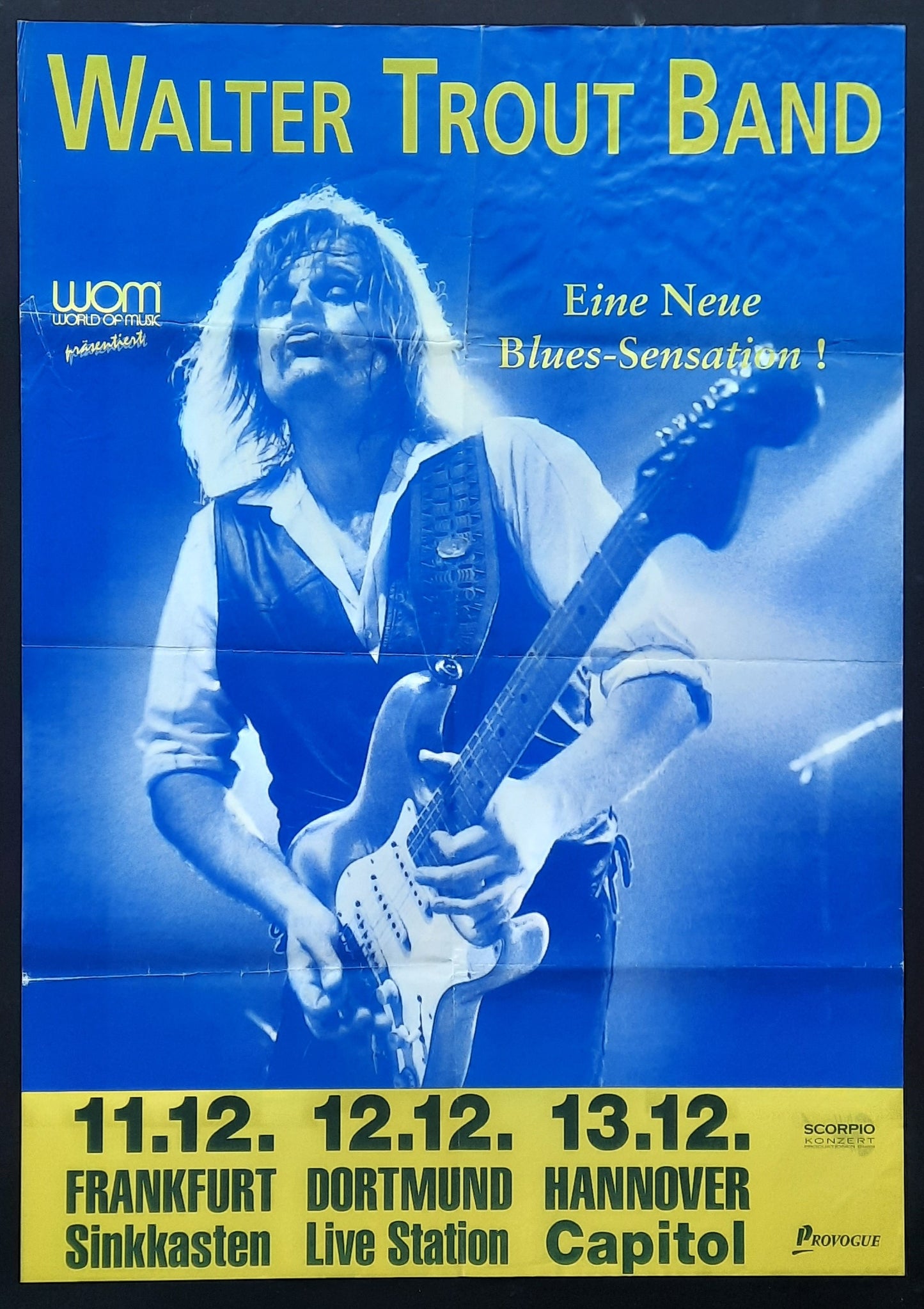 WALTER TROUT Original Concert Poster 1991 Frankfurt Dortmund Hannover Germany