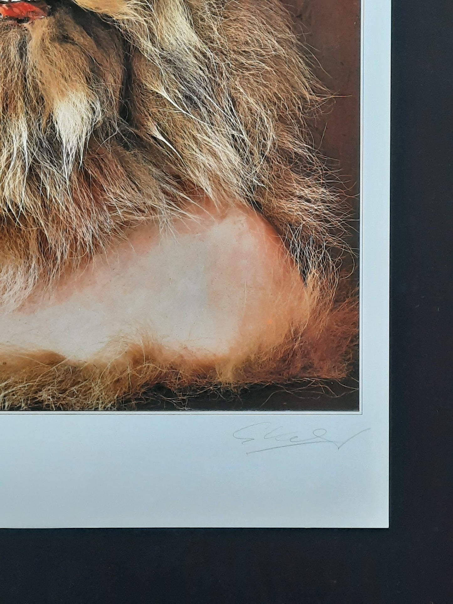 WHO Original Poster 1990 (1972) "Werewolf" SIGNED Kieser ORIGINAL