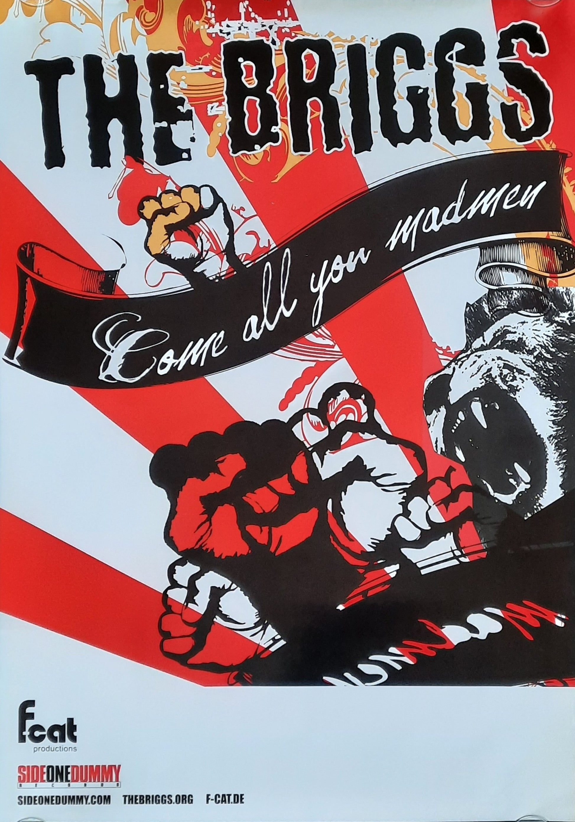 BRIGGS Original Concert Poster 2008 Come All Your Madman Tour