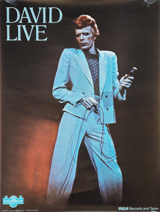 DAVID BOWIE Original Promotion Poster - 1974 Album "David Live" 1st print