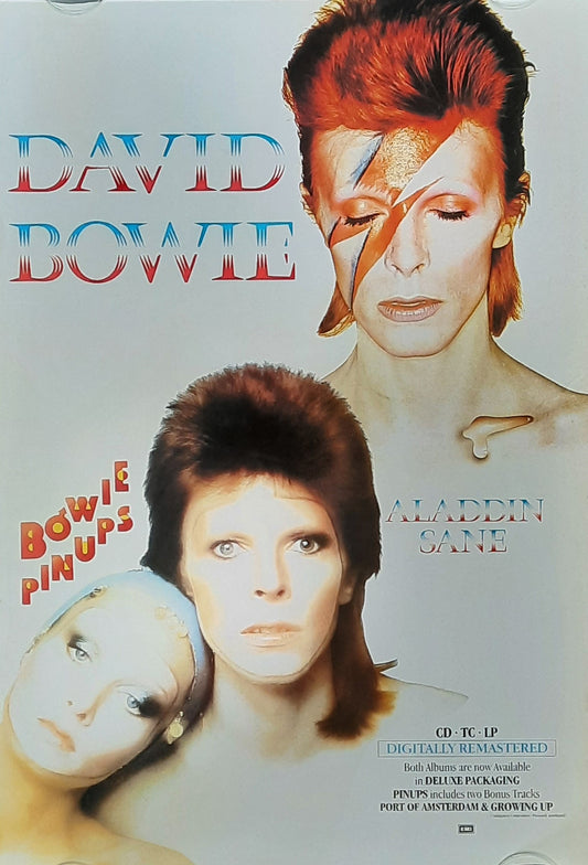 DAVID BOWIE Original Promotion Poster - 1990 Rerelease Albums "Pin Ups & Aladdin Sane"