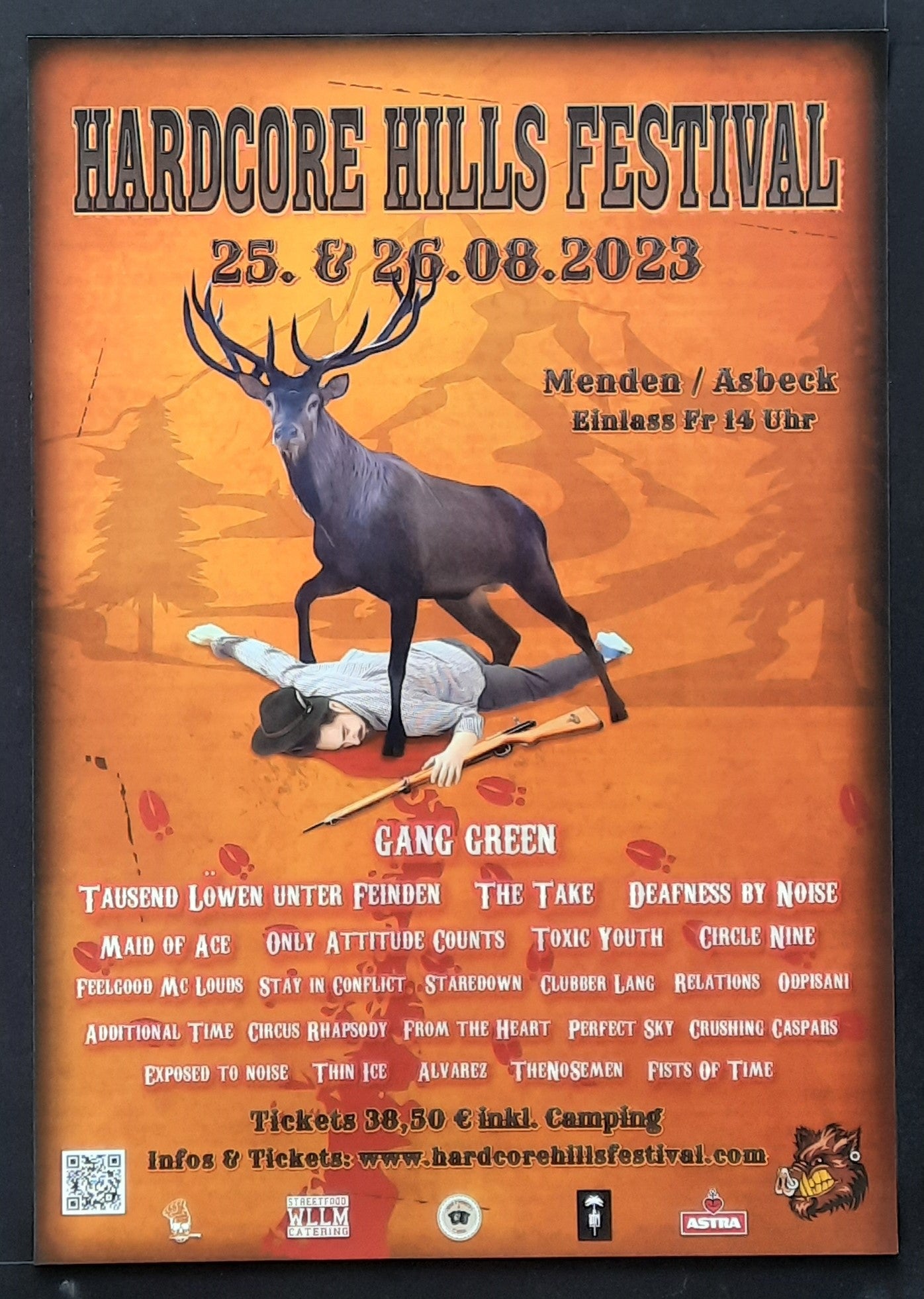 GANG GREEN 2013 Original Concert Poster - HARDCORE HILL FESTIVAL Menden Germany