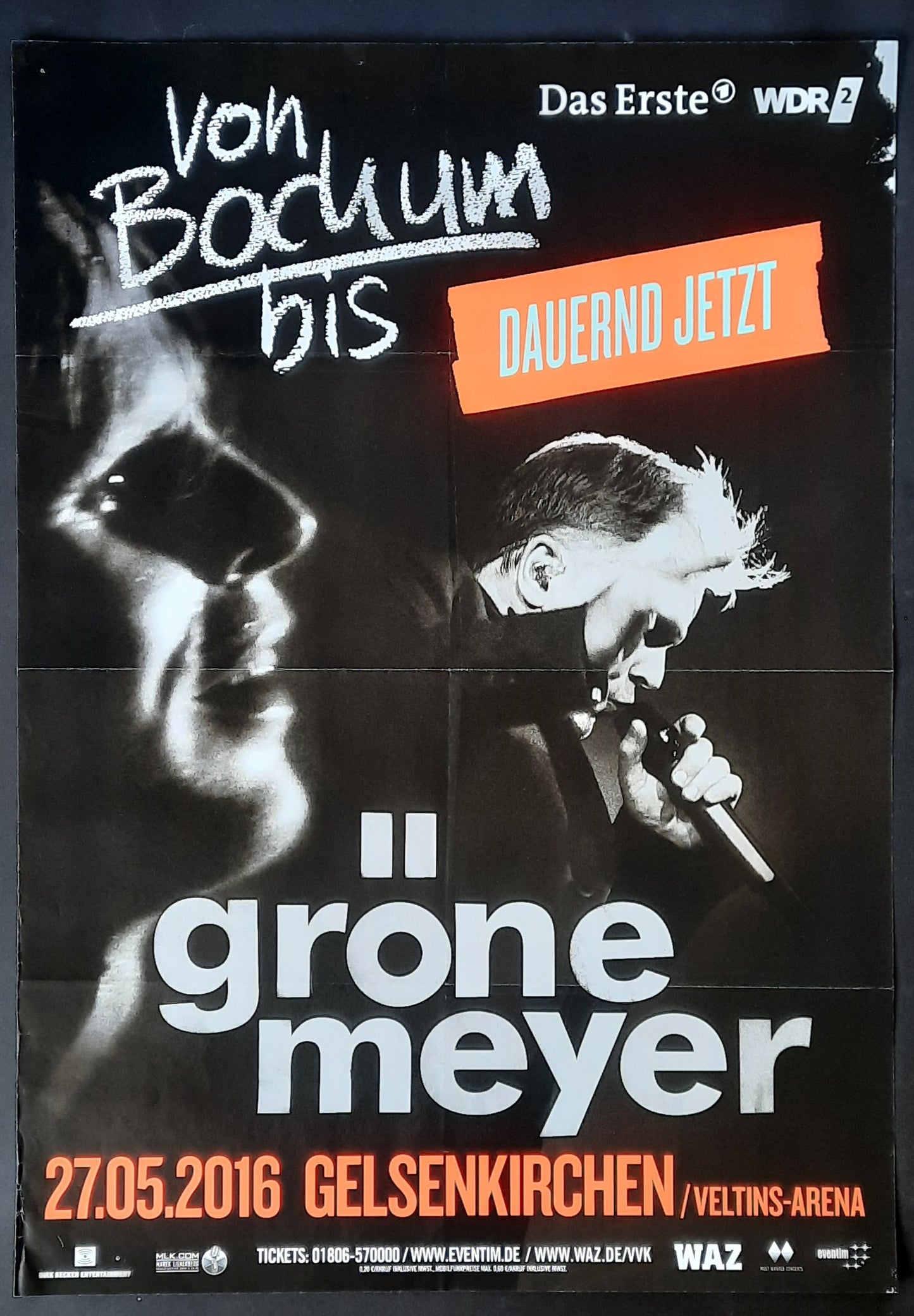 HERBERT GRÖNEMEYER Original Concert Poster May 27, 2016 Gelsenkirchen Germany 1