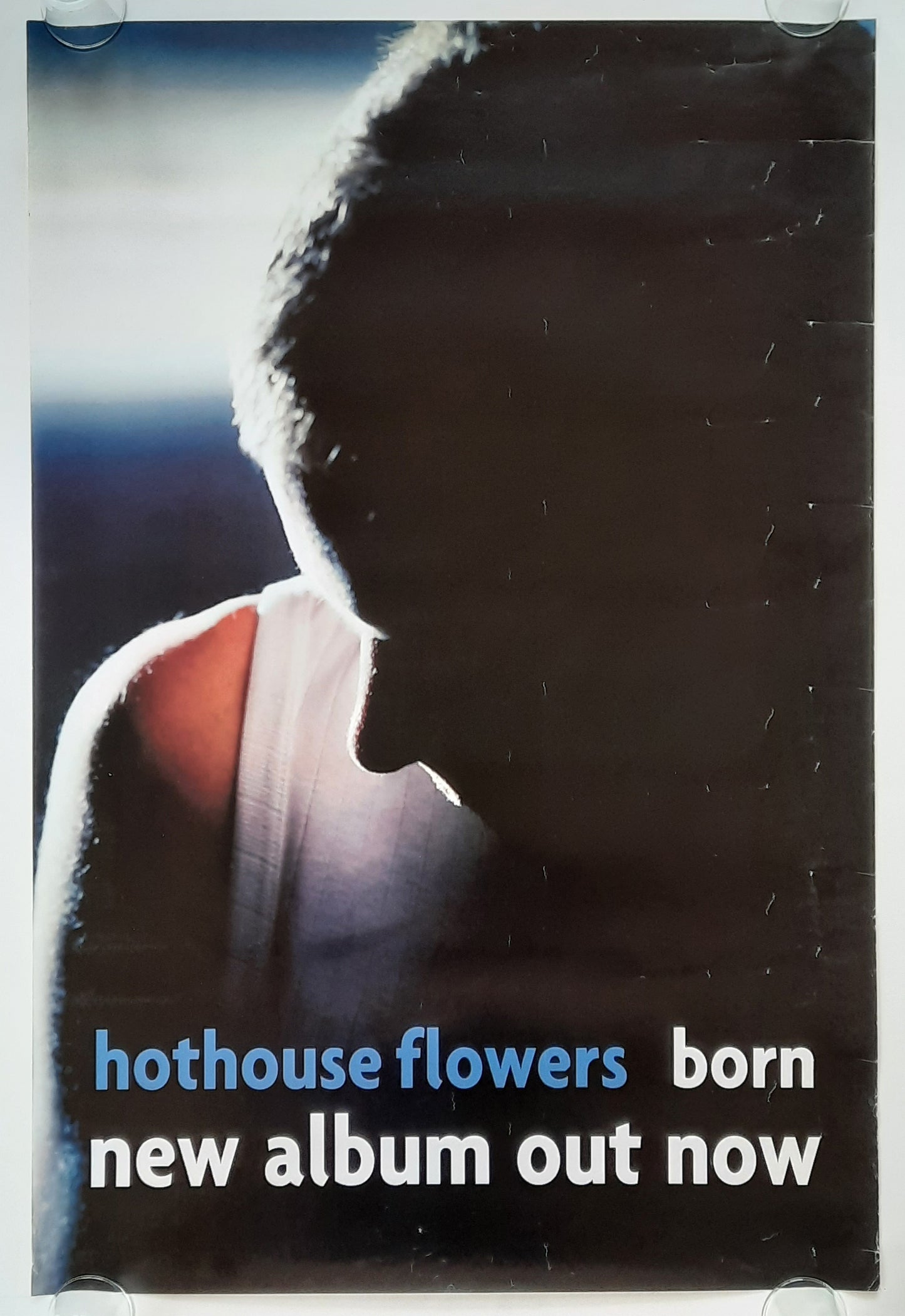 HOTHOUSE FLOWERS Original Promotion Poster - 1998 Album BORN