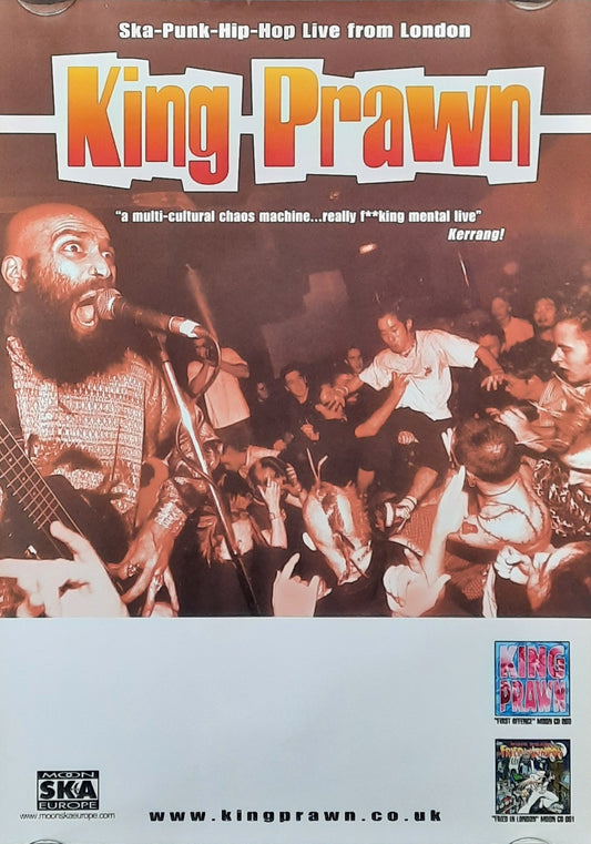 KING PRAWN Original Concert Poster 2013 European Tour 42x59d (8) 1