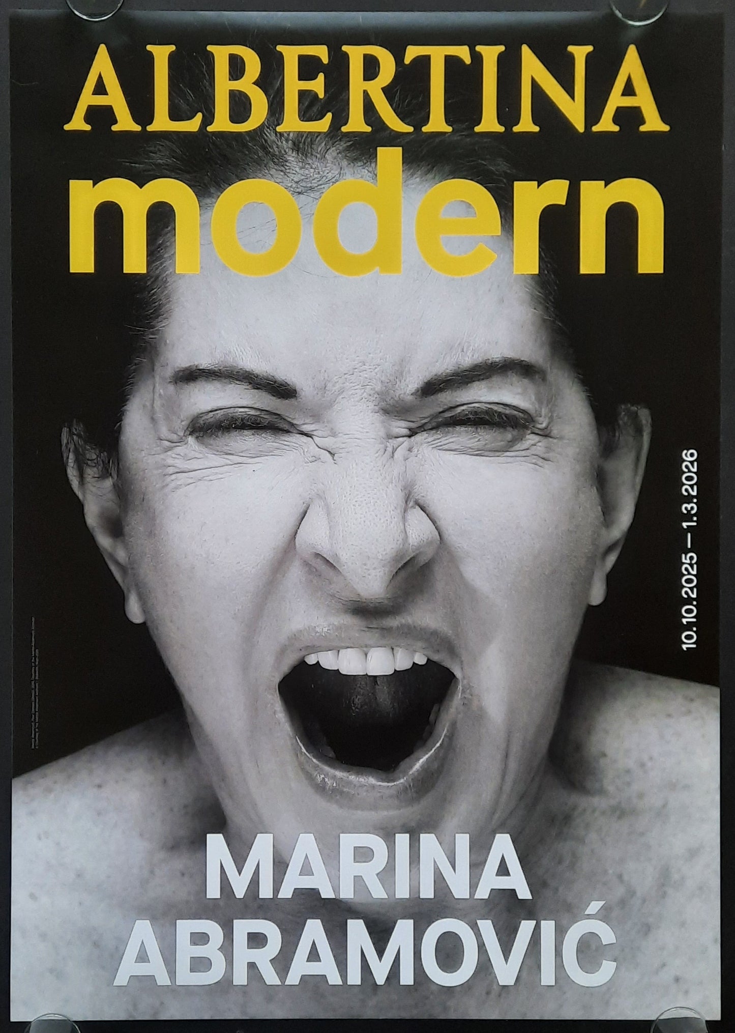 MARINA ABRAMOVIC Original Exhibition Poster 2025 Albertina Vienna Austria 1