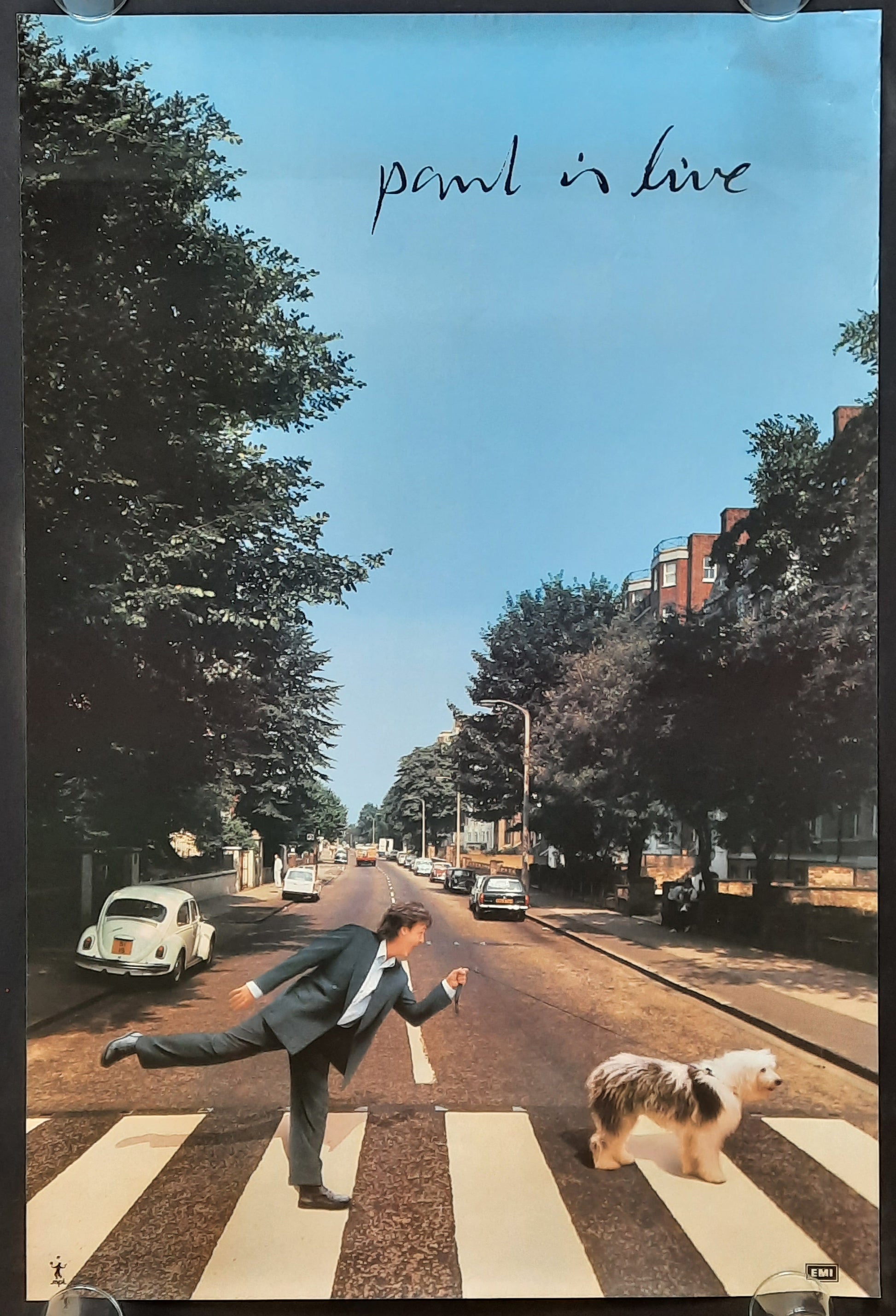 PAUL McCARTNEY 1993 Original Promotion Poster Album "Paul Is Live" 1st print 2