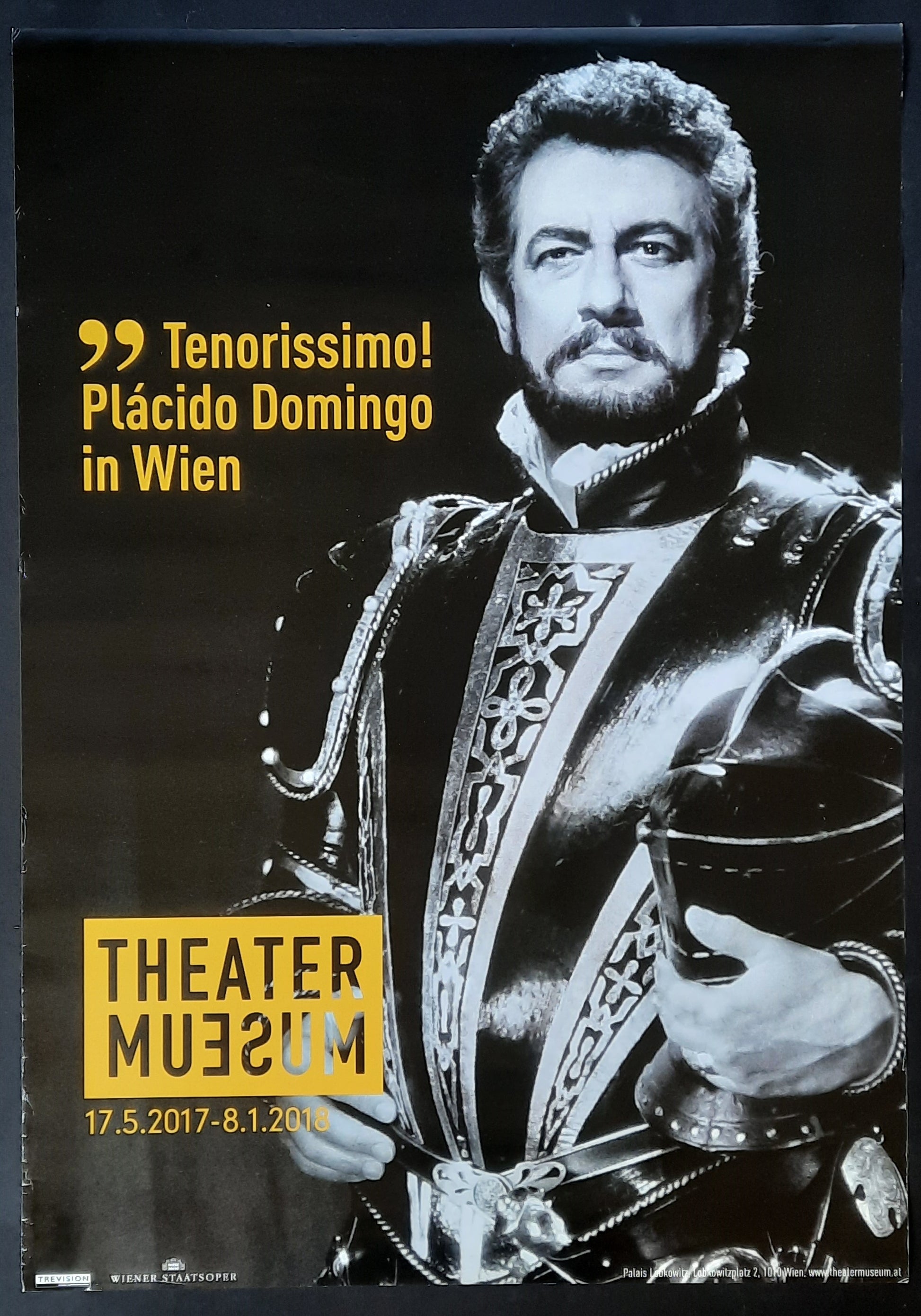 PLÁCIDO DOMINGO Original Exhibition Poster 2017 Vienna Austria 1