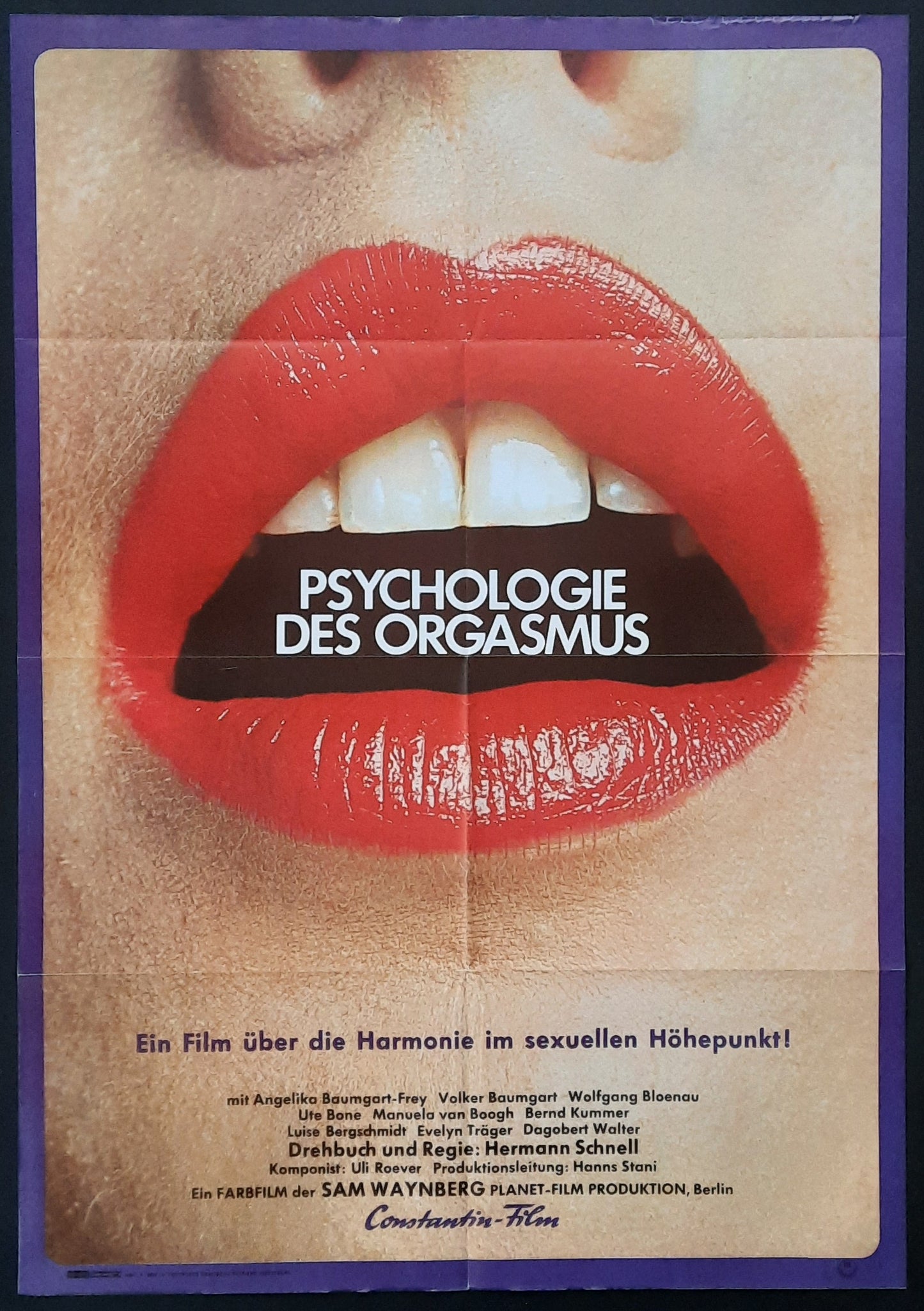 PSYCHOLOGY OF ORGASM Original Movie Poster 1970 by Hermann Schnell Angelika Baumhart-Frey German 1 Sheet Poster
