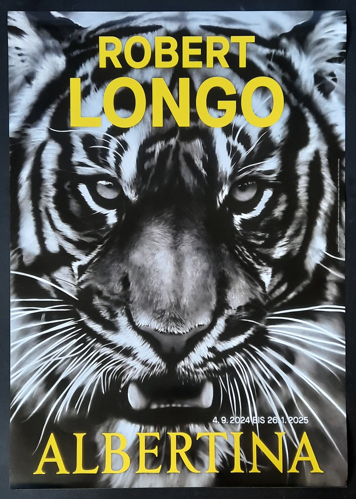 ROBERT LONGO Original Exhibition Poster 2025 Albertina Vienna Austria I