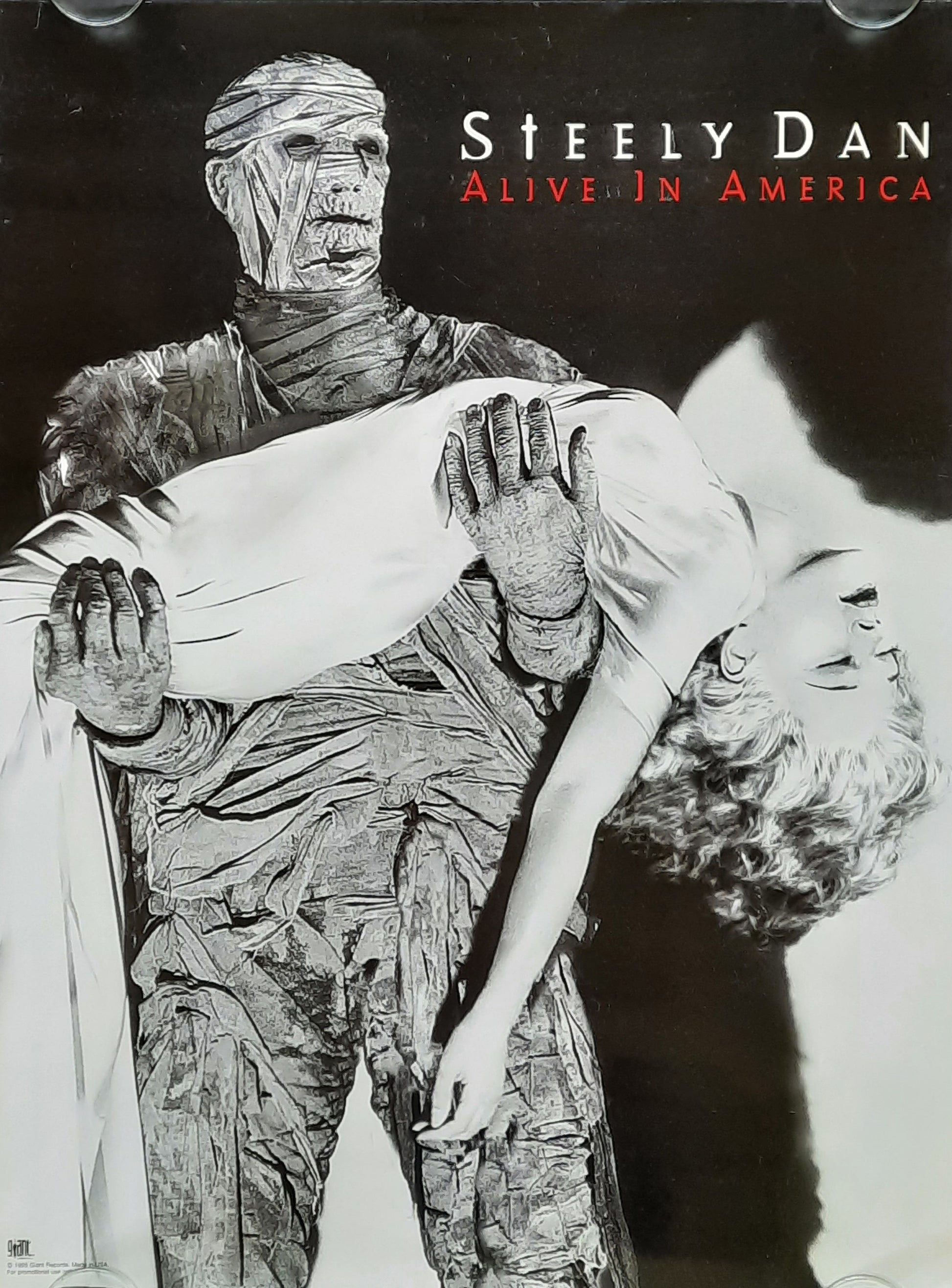 STEELY DAN Original Promotion Poster - 1995 Album "Alive In America"