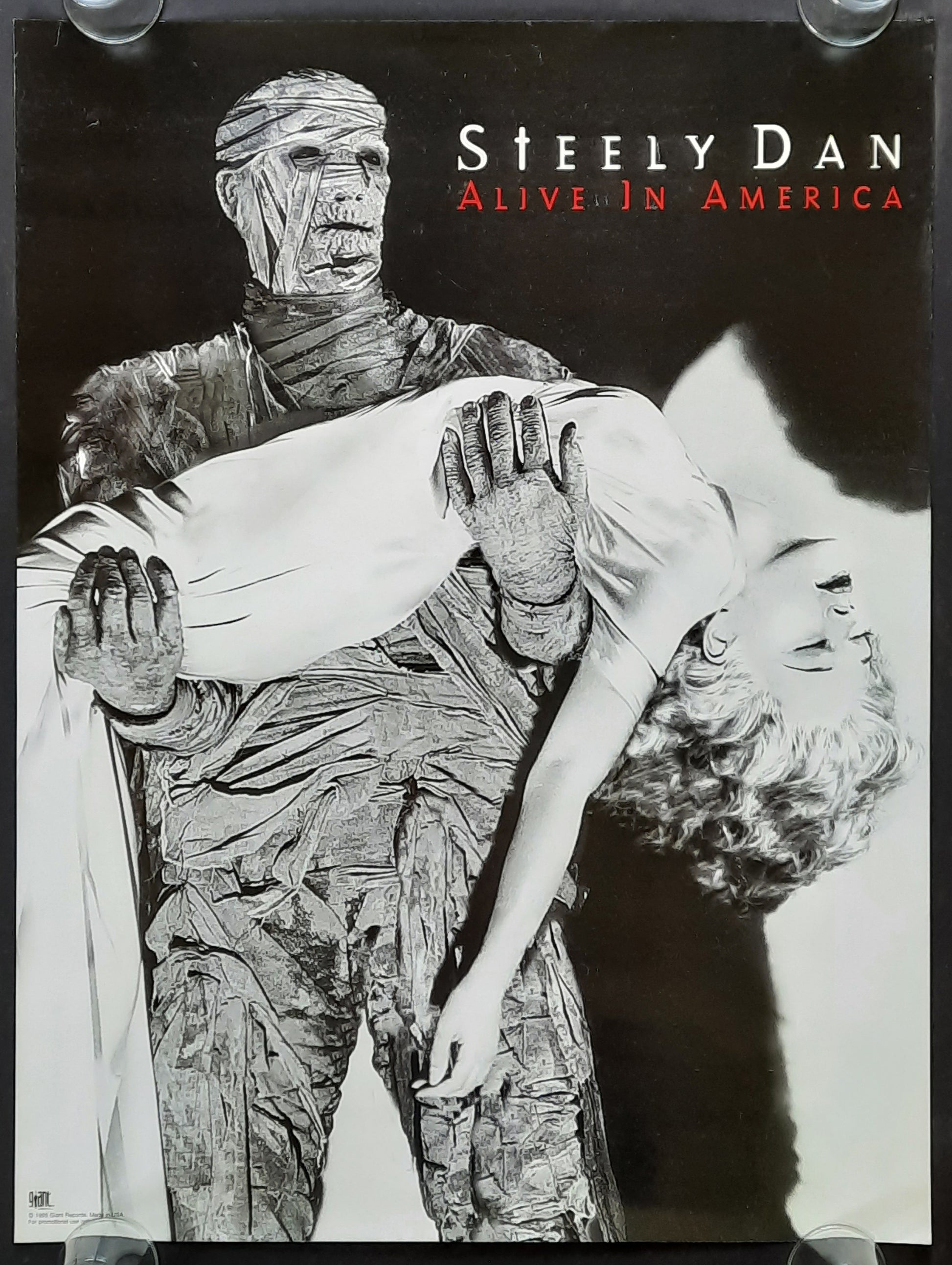 STEELY DAN Original Promotion Poster - 1995 Album "Alive In America" 2