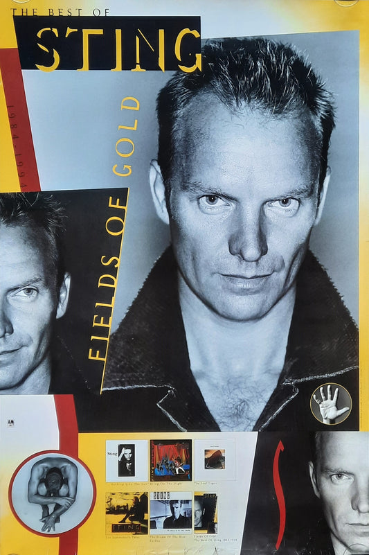 STING Original Promotion Poster - 1993 Album "Fields of Gold"