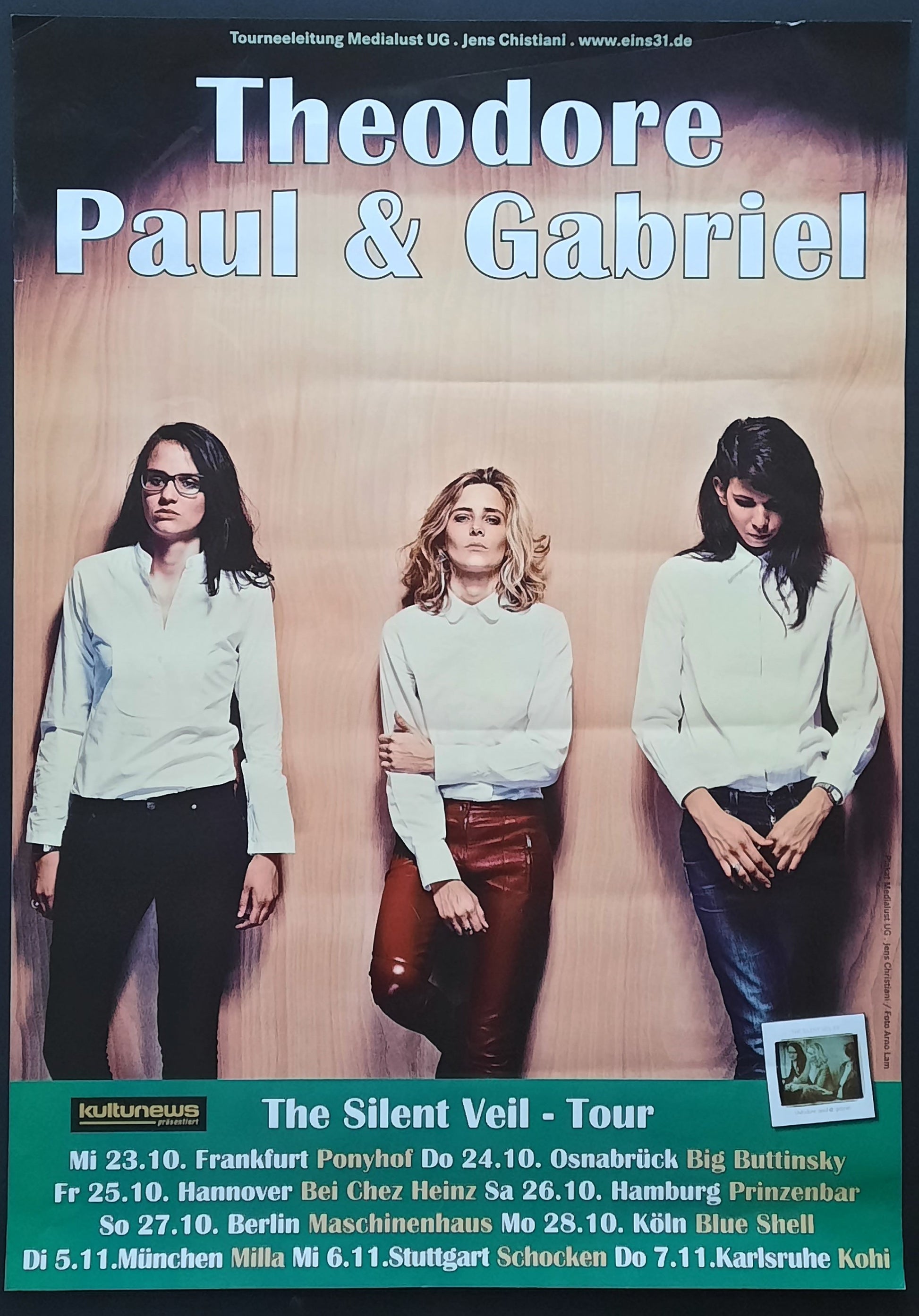 THEODORE, PAUL & GABRIEL Original Concert Poster 2013 SILENT VEIL TOUR 1