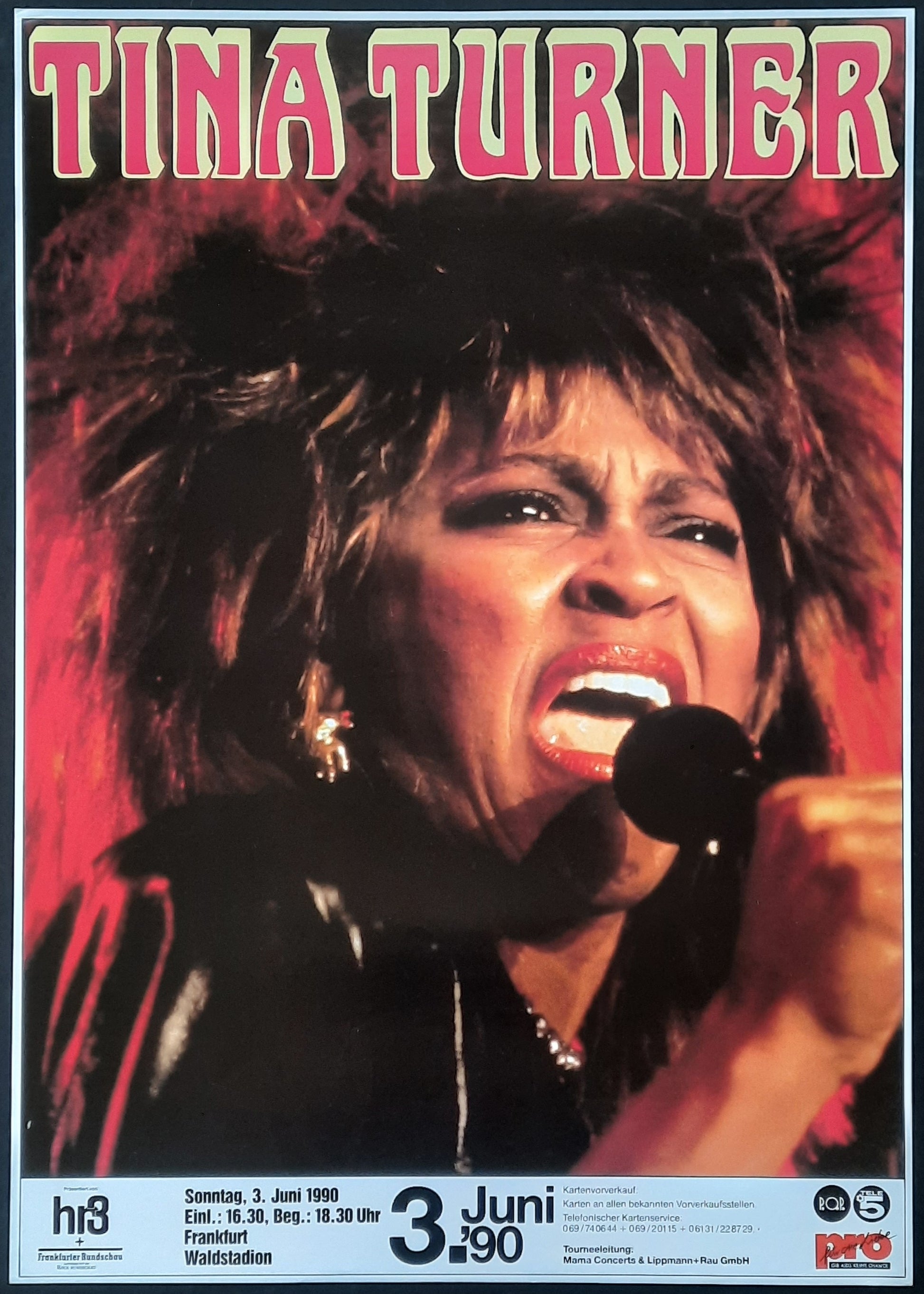TINA TURNER Original Concert Poster June 3, 1990 Frankfurt Germany 2
