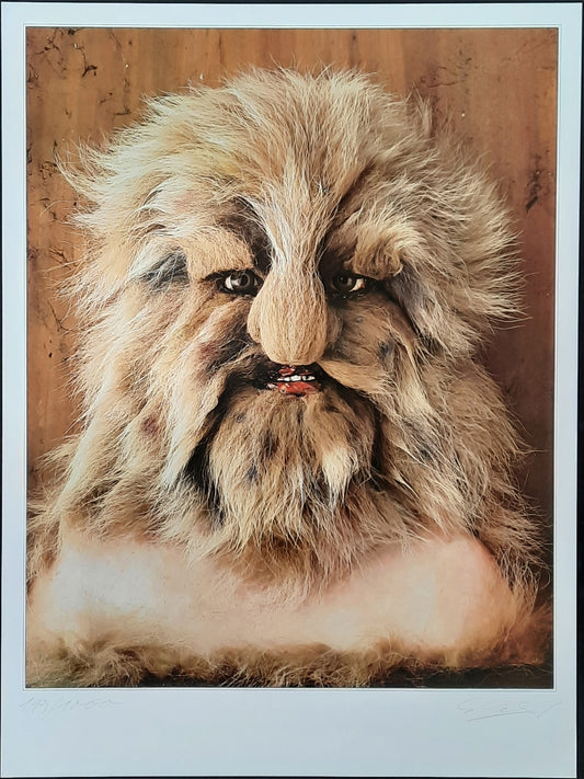 WHO Original Poster 1990 (1972) "Werewolf" SIGNED Kieser ORIGINAL